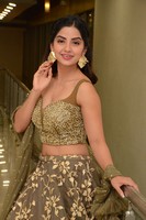 Kashmira Paradesi Photos